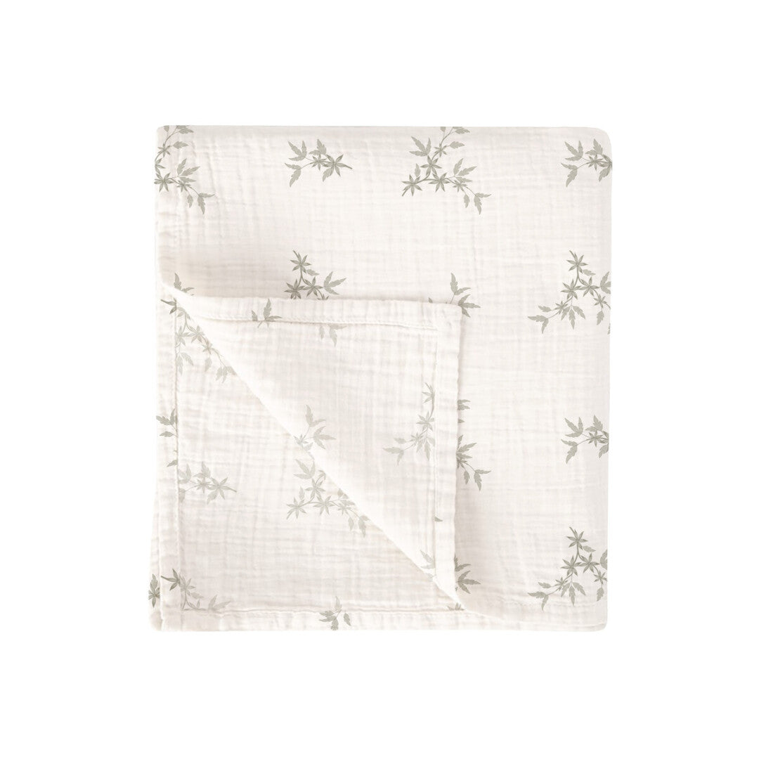 Bimbidreams - Napa Pambuku 120x120