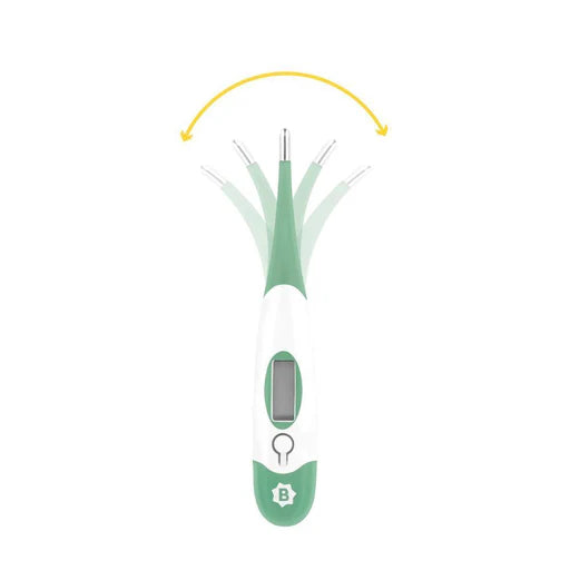 BadabulleDigital Thermometer
