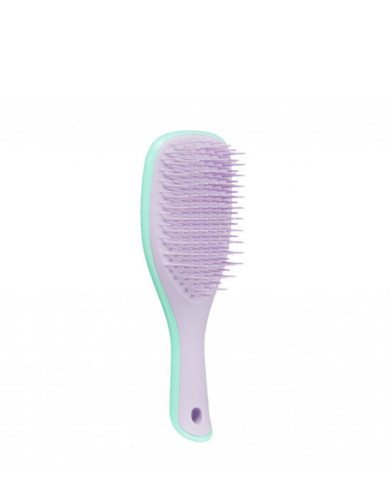 WET DETANGLER MINI WISTERIA