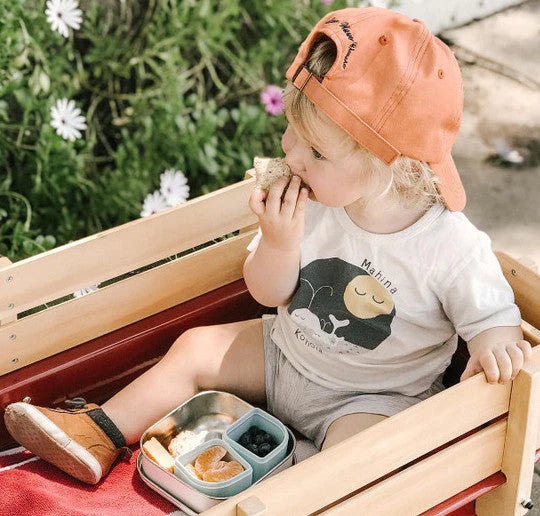 Seti i drekës GrowBento (Keylime/Grey) Miniware