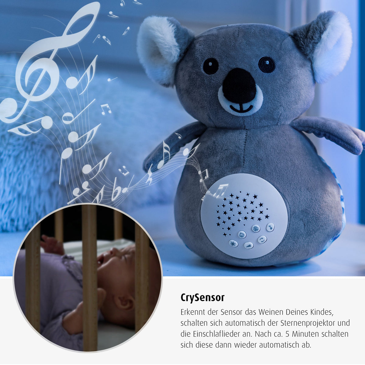 Koko Koala Plush night light