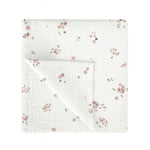 Bimbidreams - Napa Pambuku 120x120