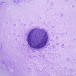 Zimpli - Llama Baff Bombz ( 2 Pack )