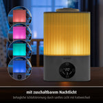 Air Humidifier 2in1