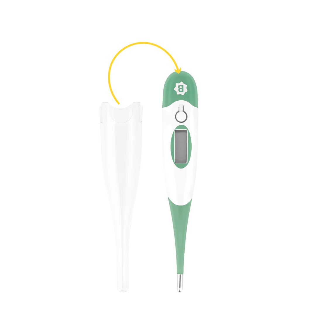 BadabulleDigital Thermometer