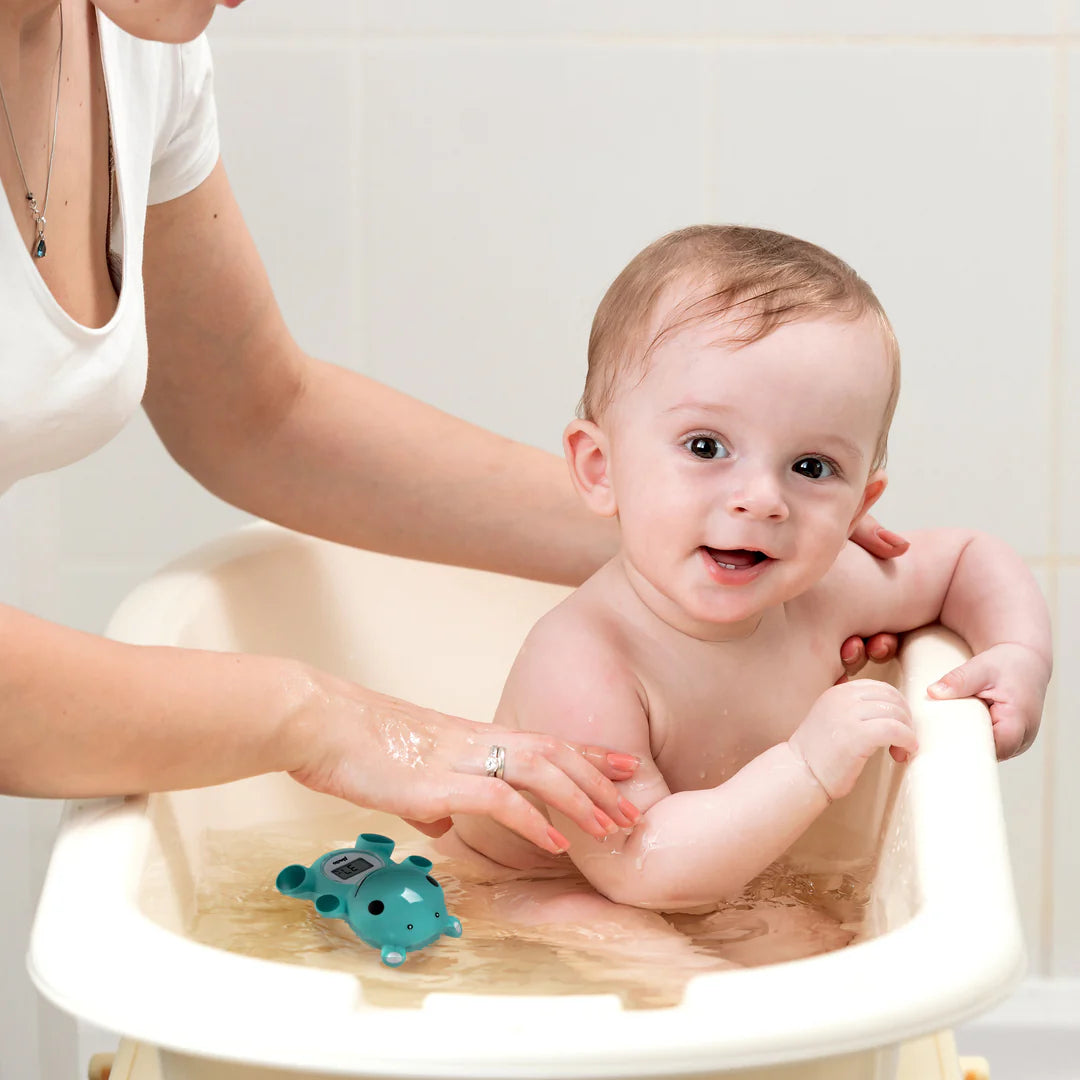 Alecto - Baby Bath Thermometer (termometer uji per bebe)