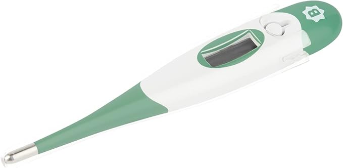 BadabulleDigital Thermometer