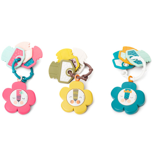 Suavinex - Musical teether