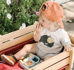 Seti i drekës GrowBento (Keylime/Grey) Miniware