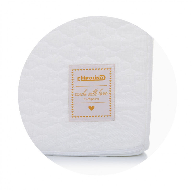 Chipolino - Dyshek qe Paloset Aloe Vera